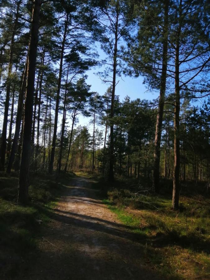 Domek Na Lesnej Pogorzelica  Dış mekan fotoğraf